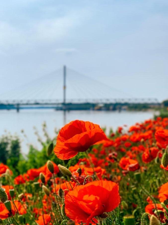 Amira Apartman Révkomárom Kültér fotó
